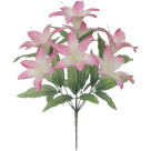 BQ LIRIO X10 ROSA REF-51276018