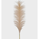 HT CAPIM DOS PAMPAS BEGE REF-51883040