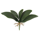 FOLHA ORQUIDEA X5 VERDE REF-18635004