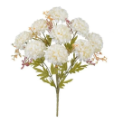 BQ CRISANTEMO X5 CREME REF-51269010