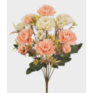 BQ ROSA SILVESTRE X5 SALMON CREME REF-47012214