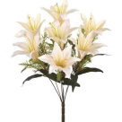 BQ LIRIO SILVESTRE X8 CREME REF-51263010