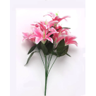 BQ LIRIO DO CAMPO X10 ROSA REF-50204018