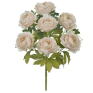 BQ PEONIA X7 CHAMPAGNE REF-51260480