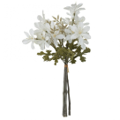 BQ FLOR DO CAMPO X5 CREME REF-51283010