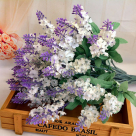 BQ LAVANDA X10 CREME REF-19651010
