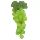 CACHO UVA VERDE X24  REF-21839004