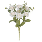 BQ ROSA SILVESTRE X5 CREME REF-47012010