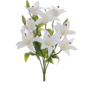BQ LIRIO DO CAMPO X10 BRANCO REF-50204008