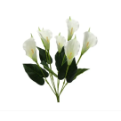 BQ COPO DE LEITE X8 ESPUMA CREME REF-15664-010