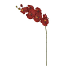 HT ORQUIDEA X4 CETIM VERMELHO REF-21601-009