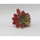 PICK SUCULENTA REAL VERDE OUTONO REF-50253-243