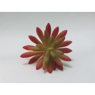 PICK SUCULENTA SEDUN VERDE OUTONO REF-50251-243