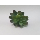 PICK SUCULENTA REAL AZUL REF-50255-001