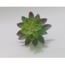 PICK SUCULENTA SEDUN AZUL REF-50254-001