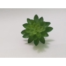 PICK SUCULENTA SEDUN VERDE REF-50254-004