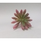 PICK SUCULENTA SEDUN ROSA REF-50251-018