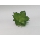 PICK SUCULENTA JADE VERDE REF-50252-004