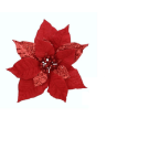 PICK BICO PAPAGAIO 20 CM REF-22087-001