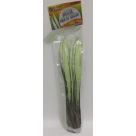FACA DE MESA C/PNTA C/6PCS REF-EL2943