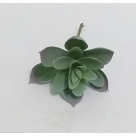 PICK SUCULENTA JADE VERDE OUTONO REF-50250-243