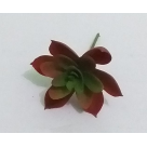 PICK SUCULENTA JADE VERDE REF-50250-004