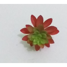 PICK SUCULENTA SEDUN ROSA REF-50254-018