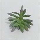PICK SUCULENTA SEDUN AZUL REF-50251-001