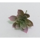PICK SUCULENTA JADE ROSA REF-50250-018