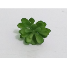 PICK SUCULENTA REAL VERDE REF-50253-004