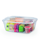 CONTAINERR ORGANIZADOR BAIXA 10L TRANSPARENTE REF-1100