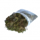 MUSGO SECO VERDE 20X15CM FLORARTE REF-40287