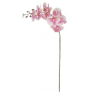 H.ORQUIDEA PHALAENOPSIS REAL TOQUE X9 ROSA 94CM REF-424966007