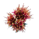 B.LIRIO  MINI X18 ROSA OUTONO 2T 32CM REF-42989007