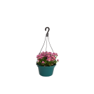 CACHEPOT C/ ALCA COD25 REF-115