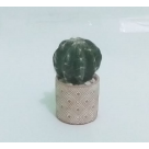 ARRANJO CACTO COM POTE RENDADO REF-46970-590