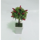 ARRANJO MINI  BONSAI PIMENTA