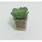 MINI ARRANJO SUCULENTA X6 CORES REF-41176-300
