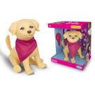 PET VETERINARIA TAFFY REF-1250
