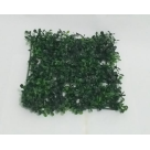 GRAMA NOBRE VERDE 25X25 REF-43592-004
