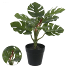 A PHILO REAL TOQUE C/ POTE X8 VERDE 30CM REF-43244003